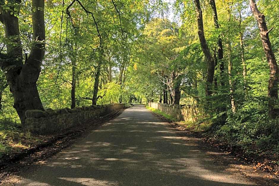 Millbrae Lodges