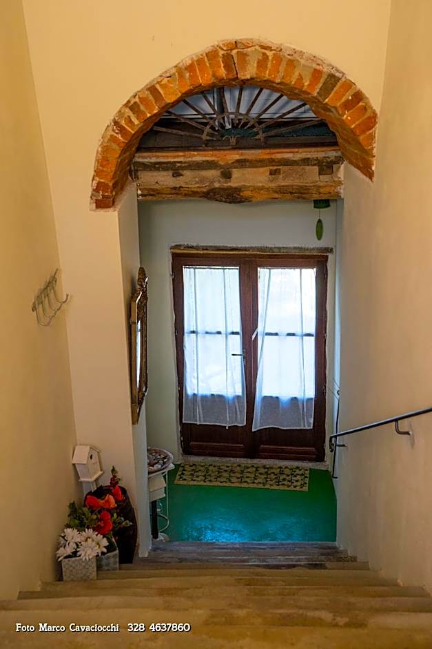Il Bosso di Toscana