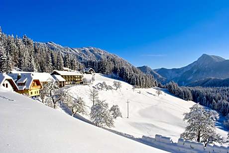 Bed&Breakfast Lausegger