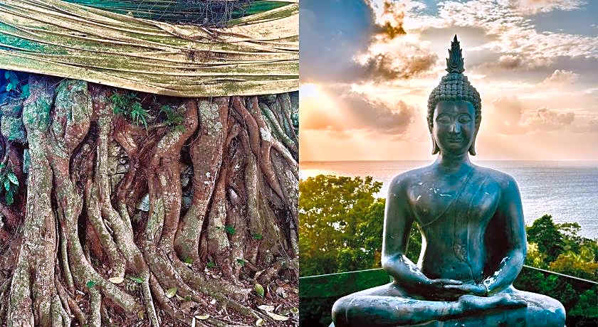 Dreamville Koh Phangan.