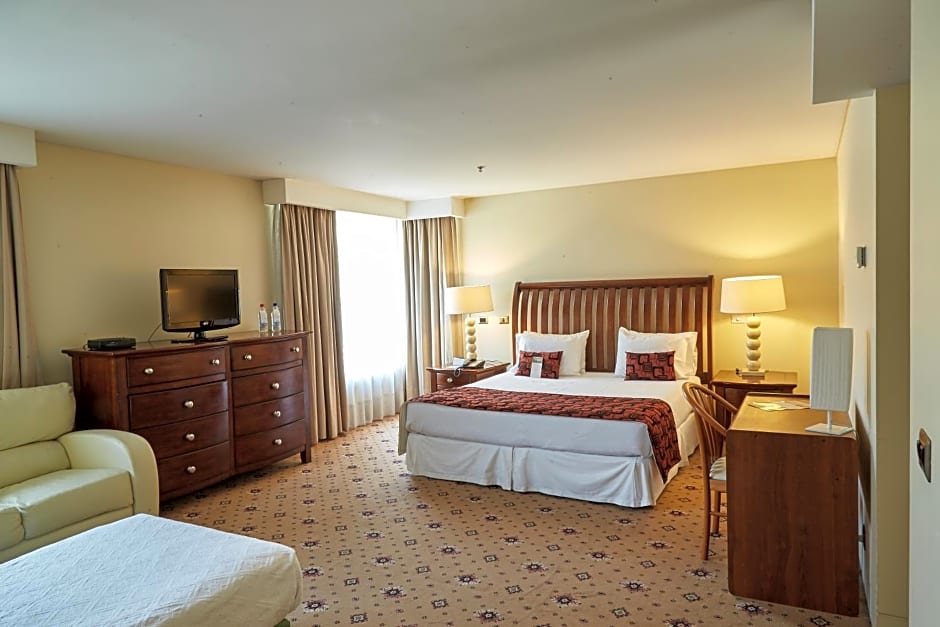 Hotel Torremayor Lyon