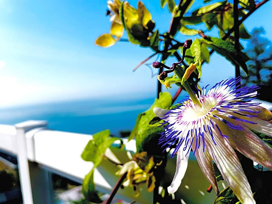 Donna's Bed & Breakfast