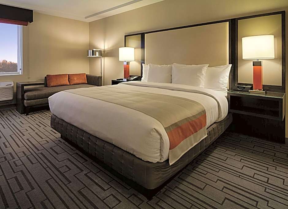 Zdjęcie 1 z 3 — 1 King Bed, Hearing/Mobility Accessible, Roll in Shower