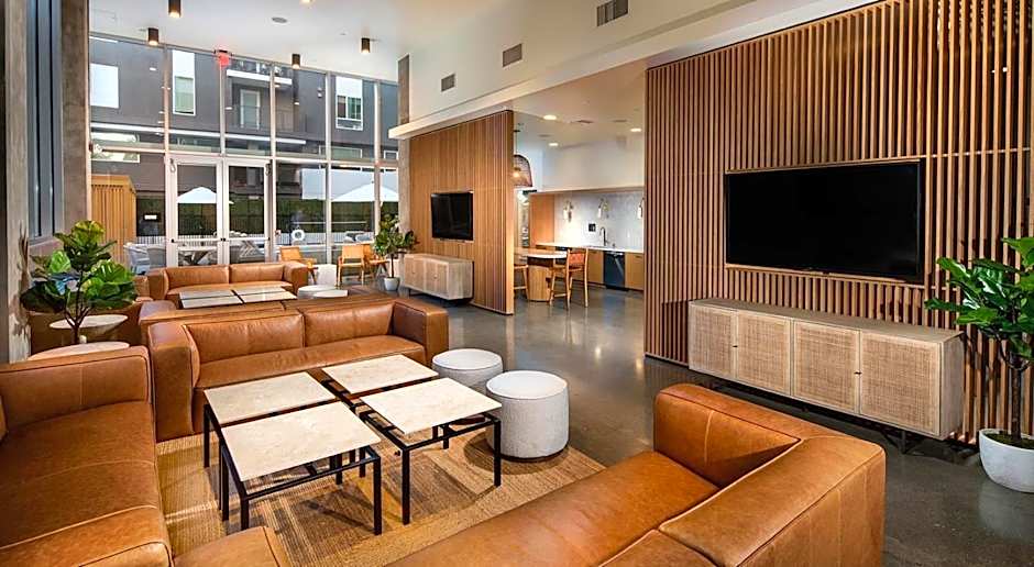 Modern Apartment Rentals