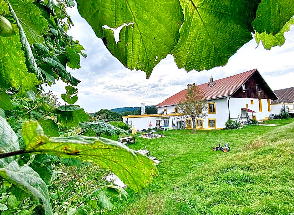 Hôtel Restaurant Les Cernets Swiss-Lodge SSH