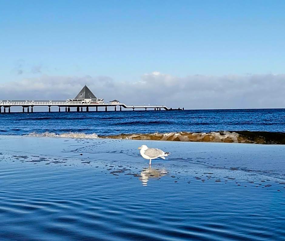 Meeressterne Hotel Residenz in Heringsdorf