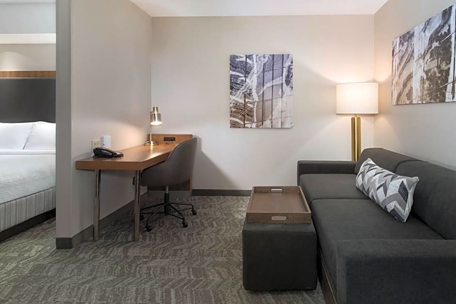 SpringHill Suites by Marriott Syracuse Carrier Circle
