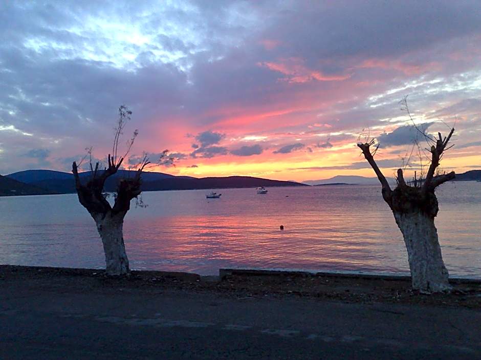 Gikas Apartments Triple Studio Sea View B7