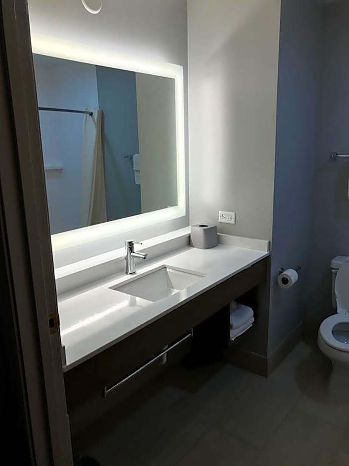 Holiday Inn Express Toledo West - Napoleon By IHG