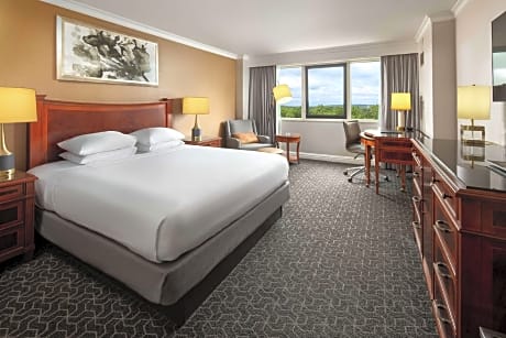 1 King Bed - Room 2 Work
