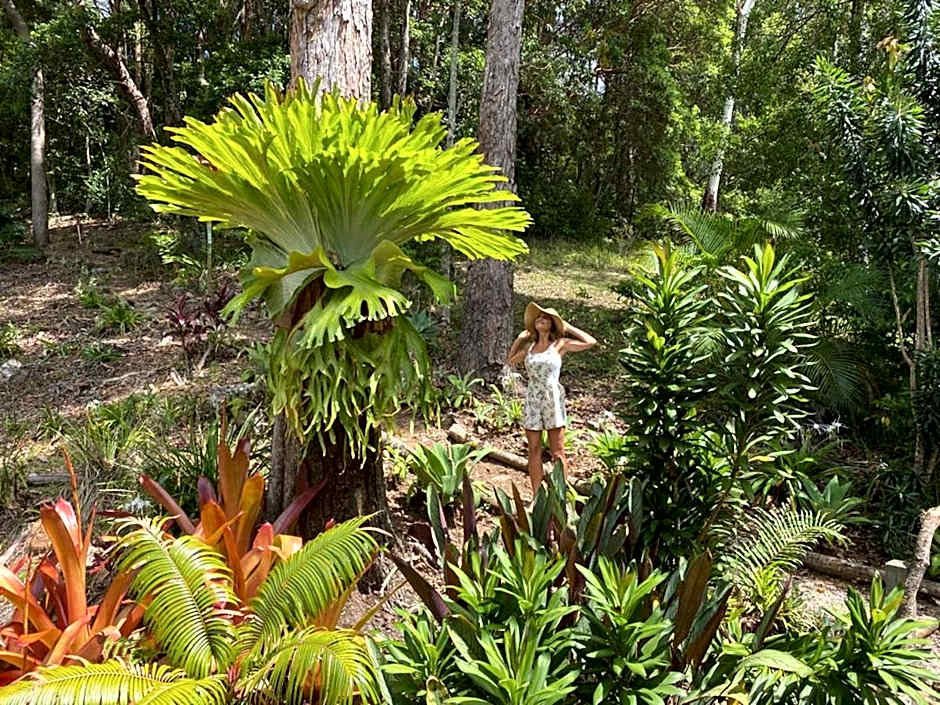 The Junglehouse Noosa