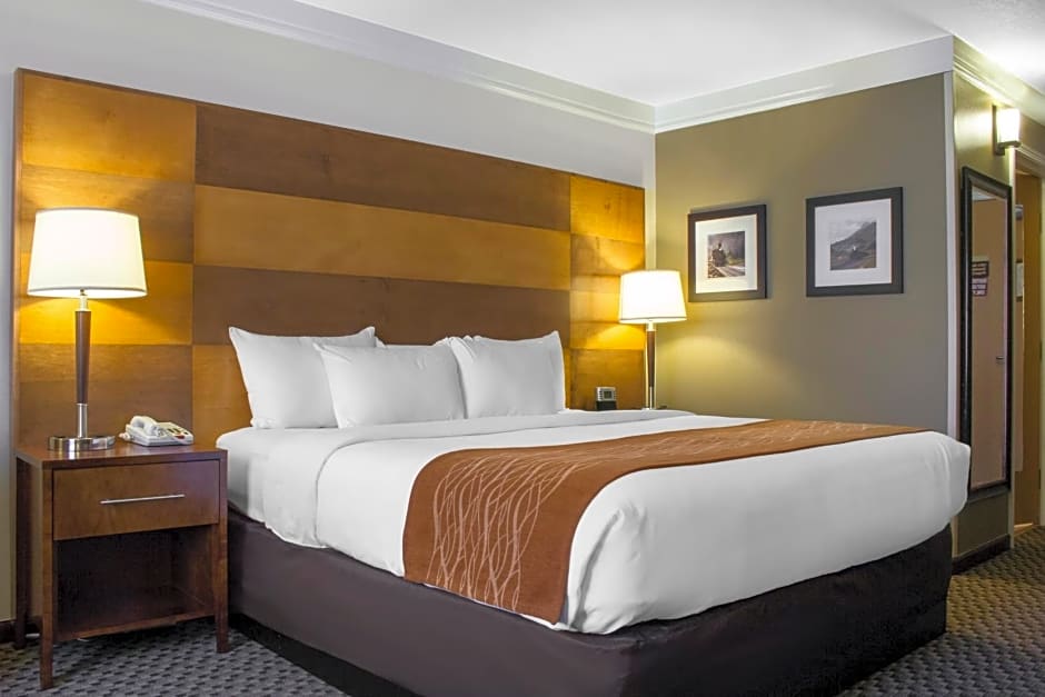 Comfort Inn & Suites Durango