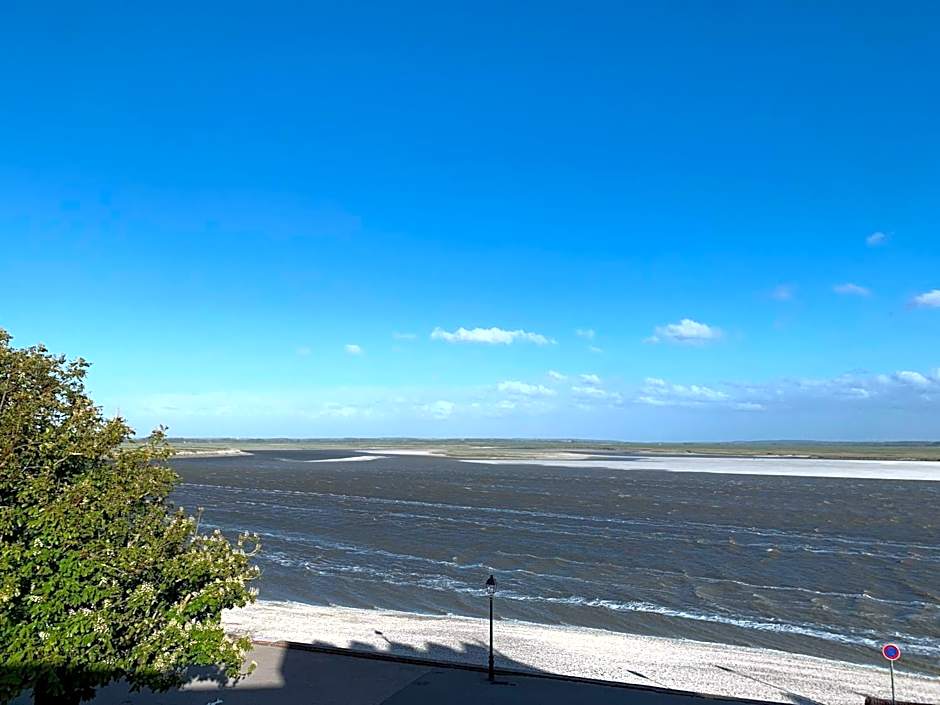 Les Mouettes Blessées