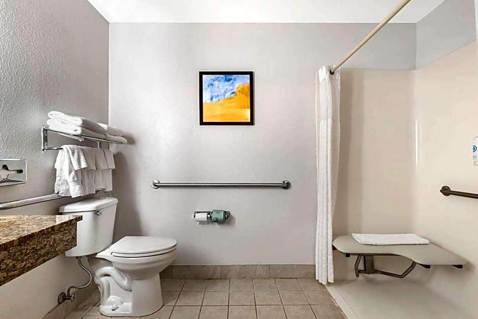 Comfort Inn & Suites Suwanee - Sugarloaf