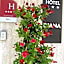 Hotel Diana