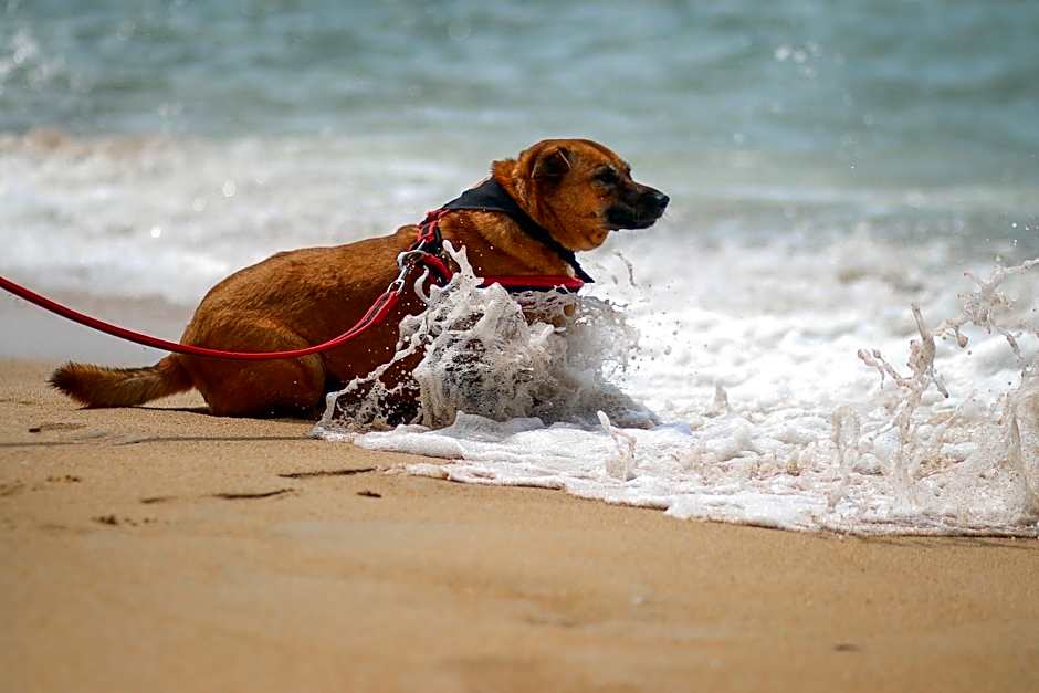 Ideo Phuket Hotel - Naiyang Beach