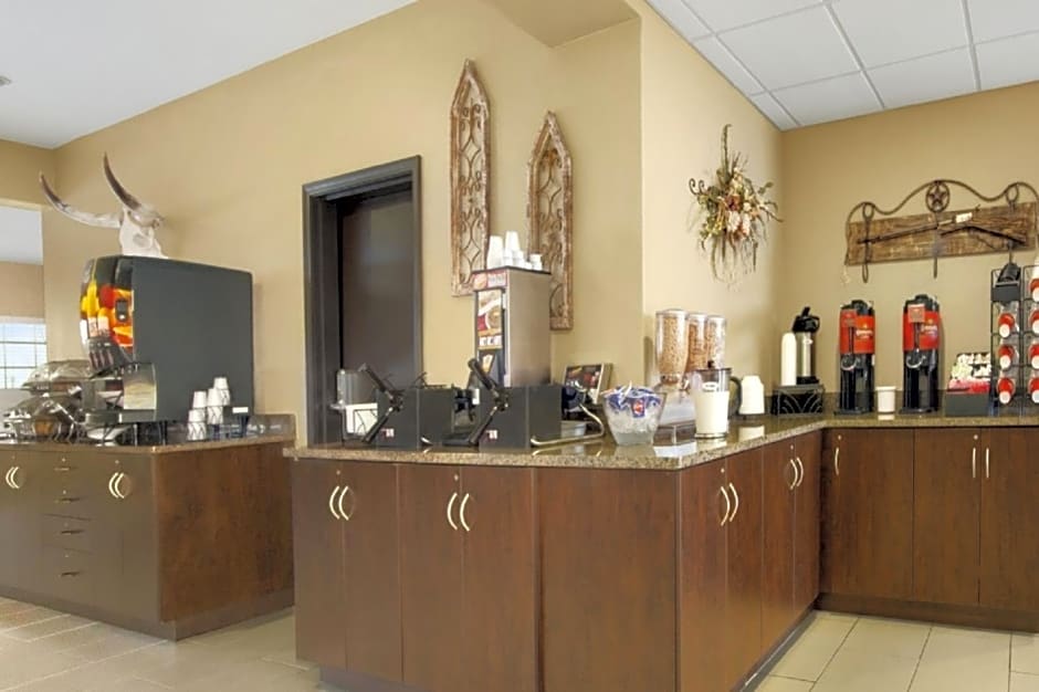 Microtel Inn & Suites by Wyndham Buda Austin South
