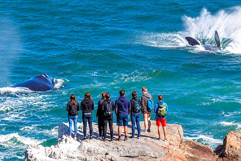 Never at Home Hermanus