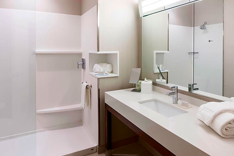 Courtyard by Marriott Houston North/Shenandoah
