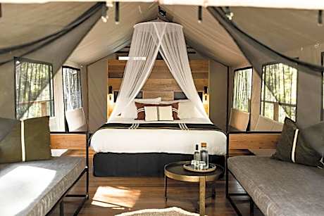 Paperbark Camp