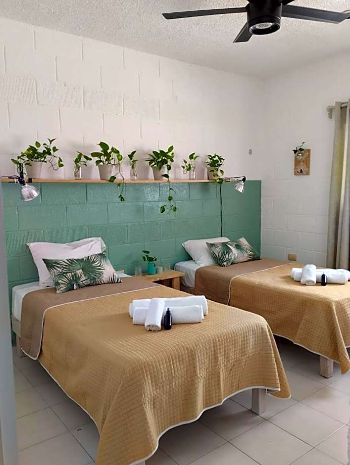 Casa Palmita