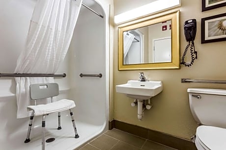 Comfort Suites At the University