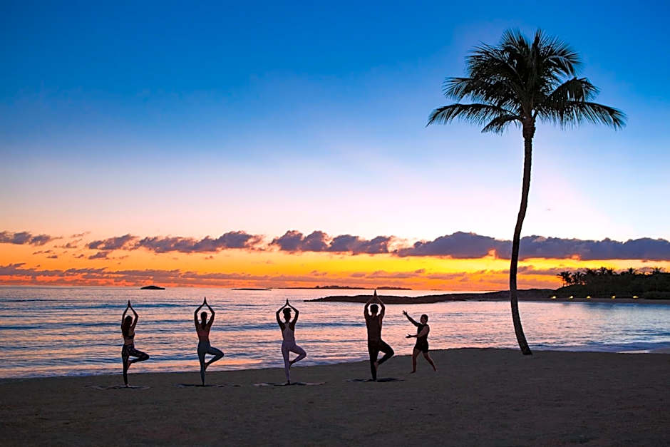 The Cove at Atlantis