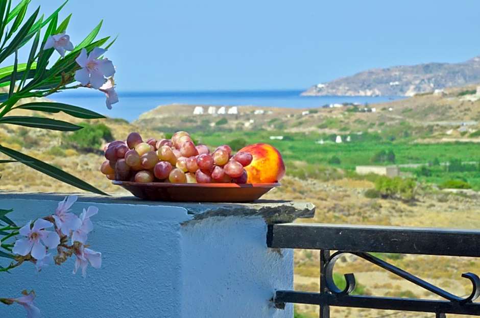Naxos Filoxenia Hotel