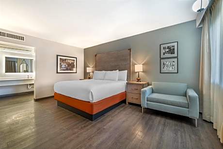 King Room - Pet-Friendly