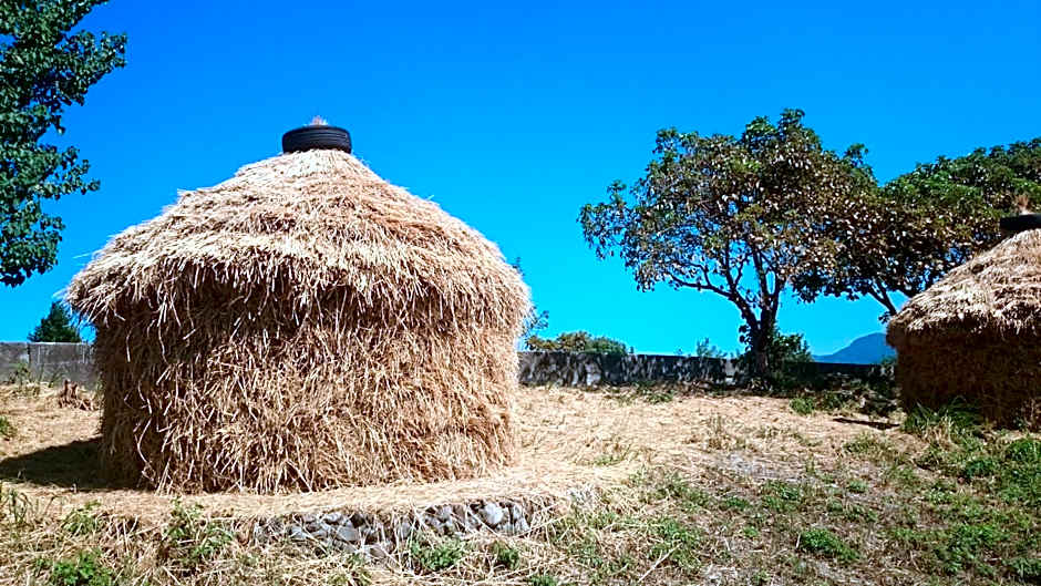 Yilan Real Fun Homestay