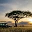 Serengeti Sametu Camp
