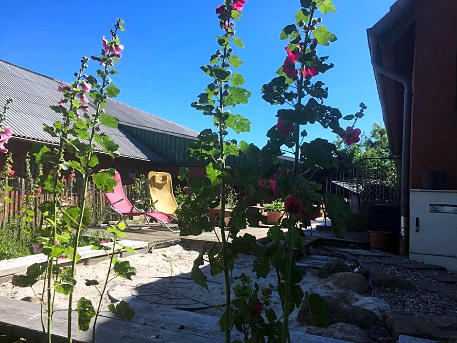 Peanuts Hostel & Meer