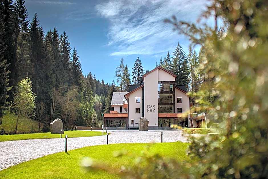 DAS ERZ Medical Spa & Hotel
