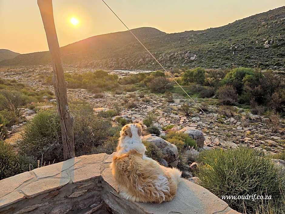 Oudrif Strawbale Retreat