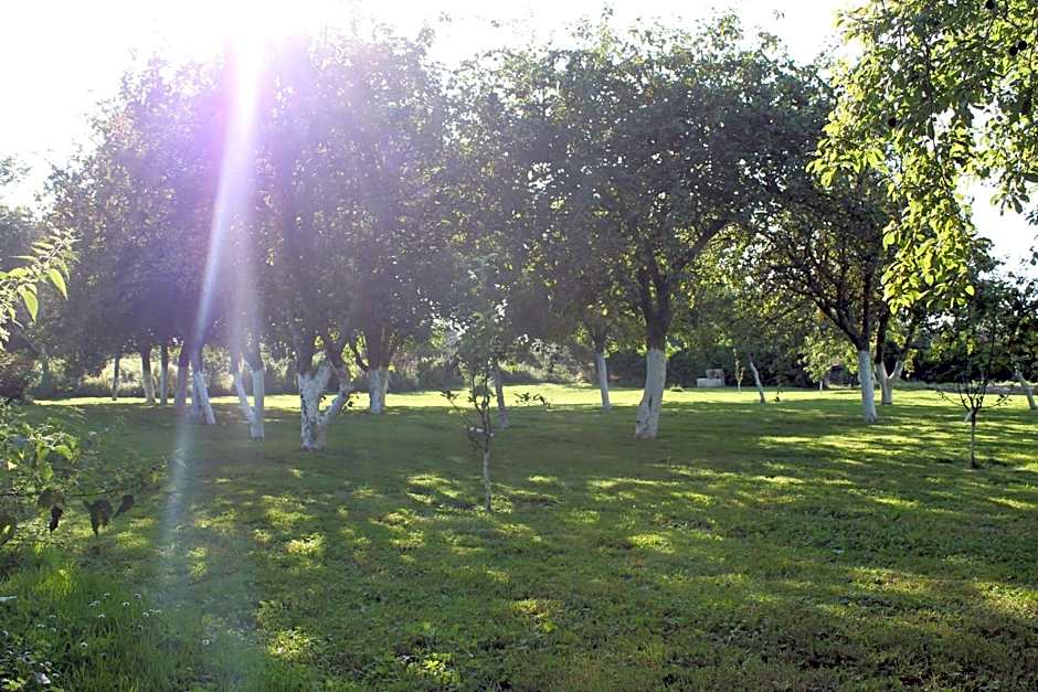 Le Domaine de la Vallée