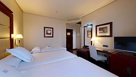 Double or Twin Room with Extra Bed