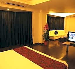 Element Suite
