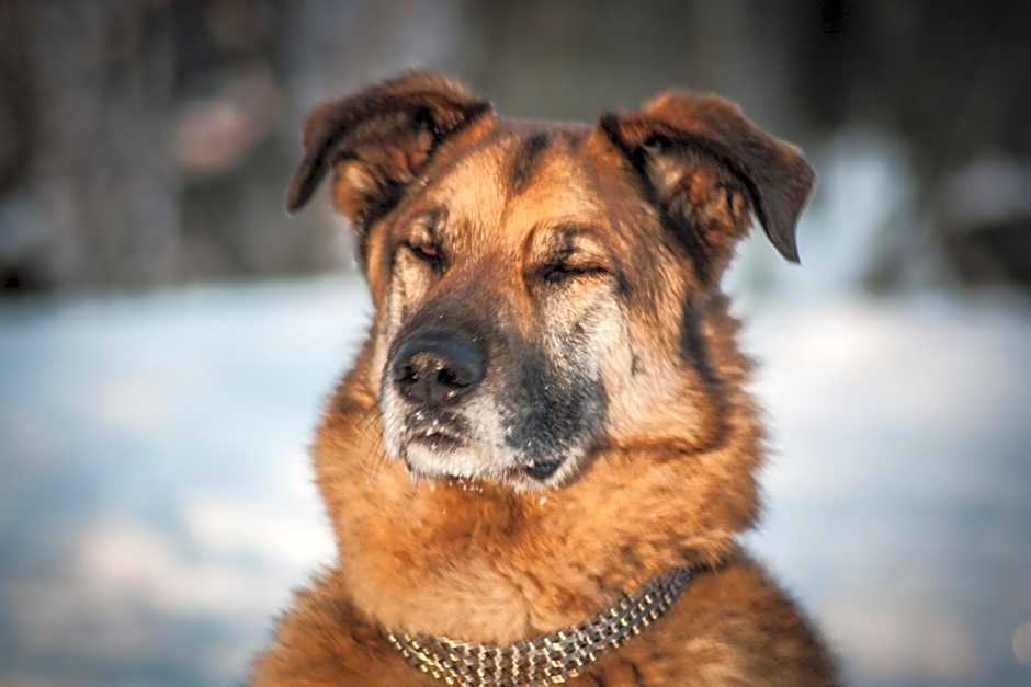 Planinarski Centar Petehovac