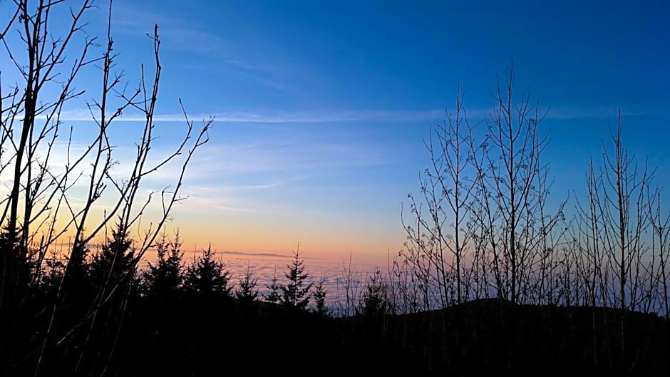 Ehrenmättlehof Faißt