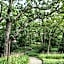Hyatt Lodge Oak Brook Chicago