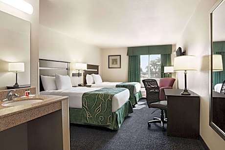Queen Room with Two Queen Beds - Non-Smoking