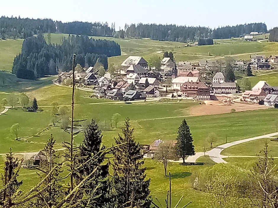 ZUR TRAUBE Schwarzwaldhotel & Restaurant am Titisee