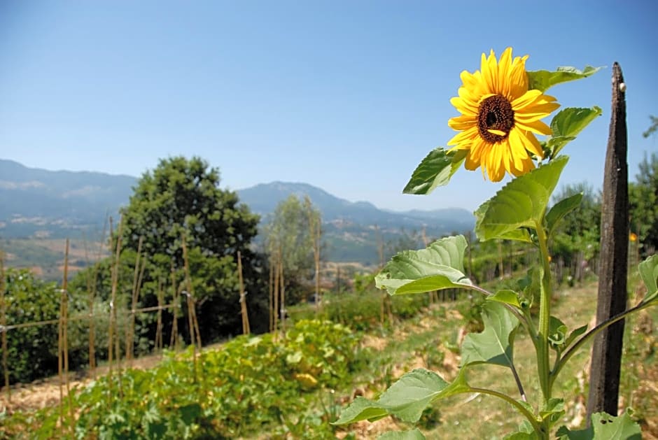 Tana Libera Tutti 1 Nature, Yourself, Love