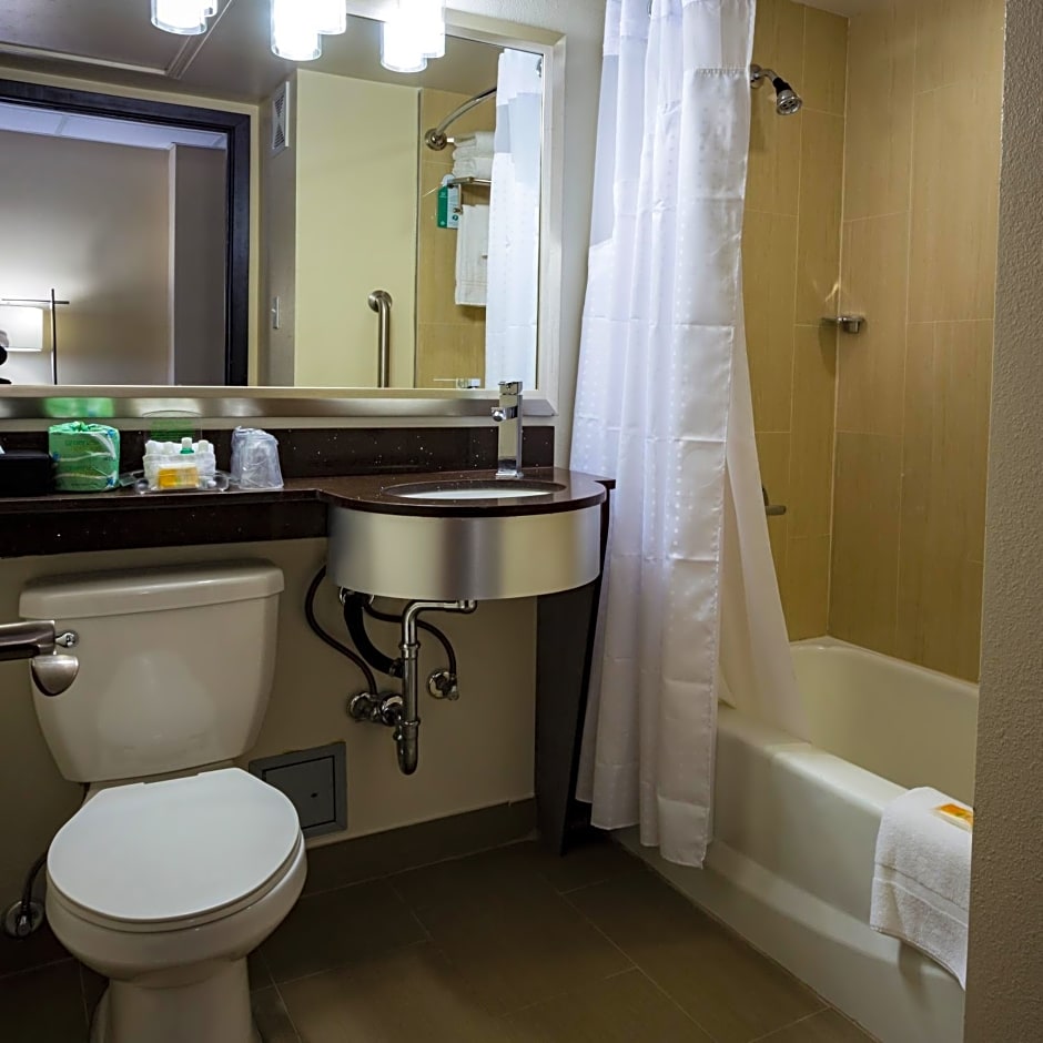 Holiday Inn Houston Downtown By IHG