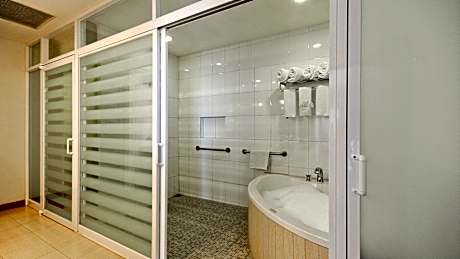 1 King 1 Bedroom Suite