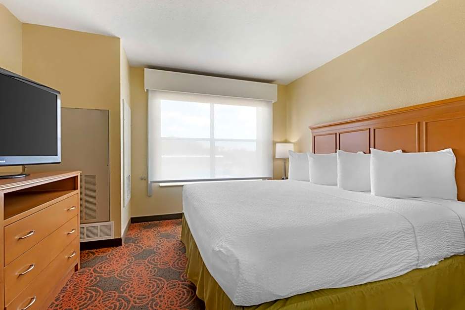 Photo 1 of 5 of 1 King Bed with Sofabed Suite