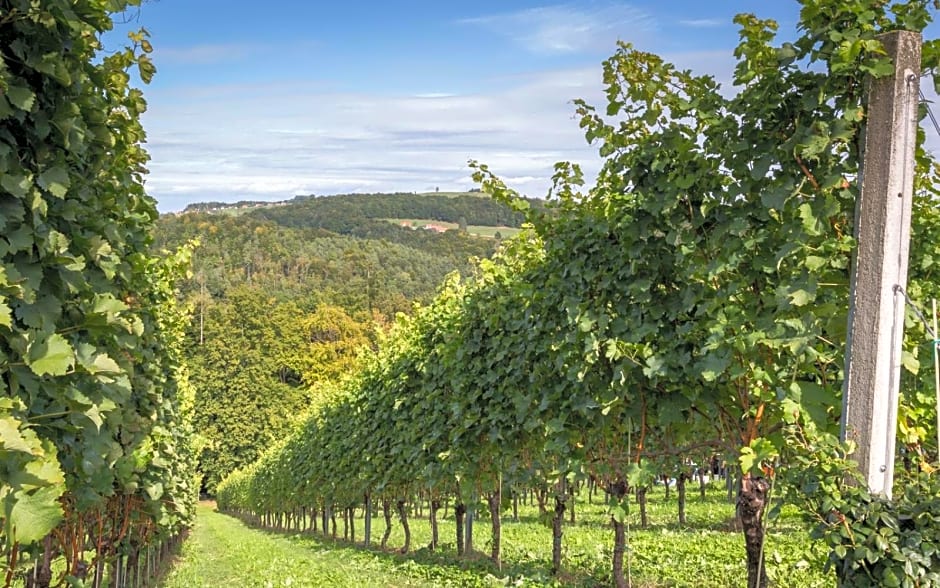 Kitzecker-Weingartenhaus