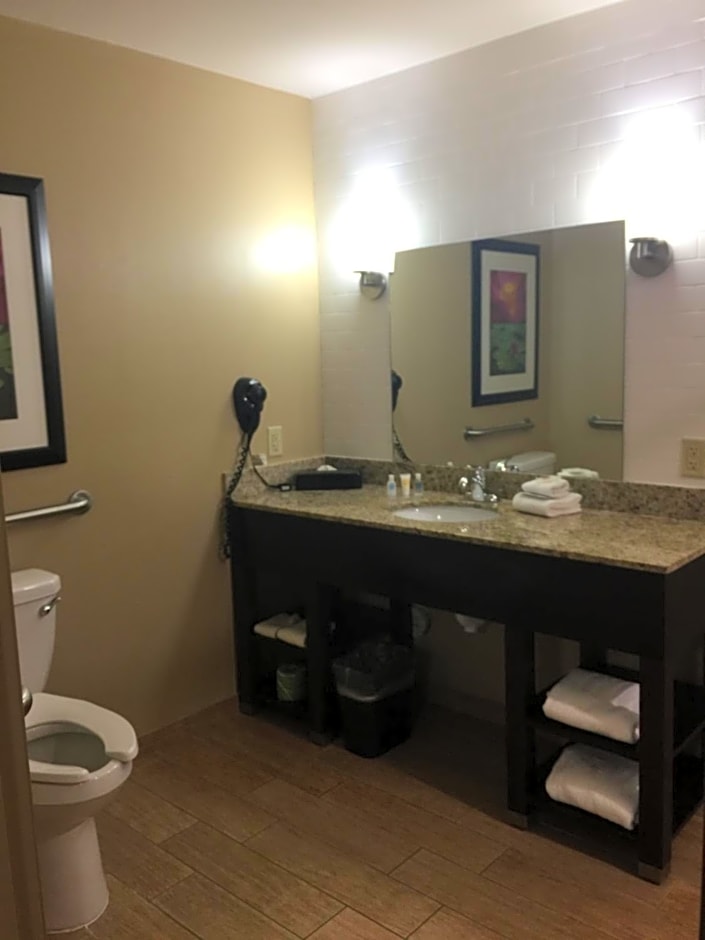 Comfort Inn San Marcos