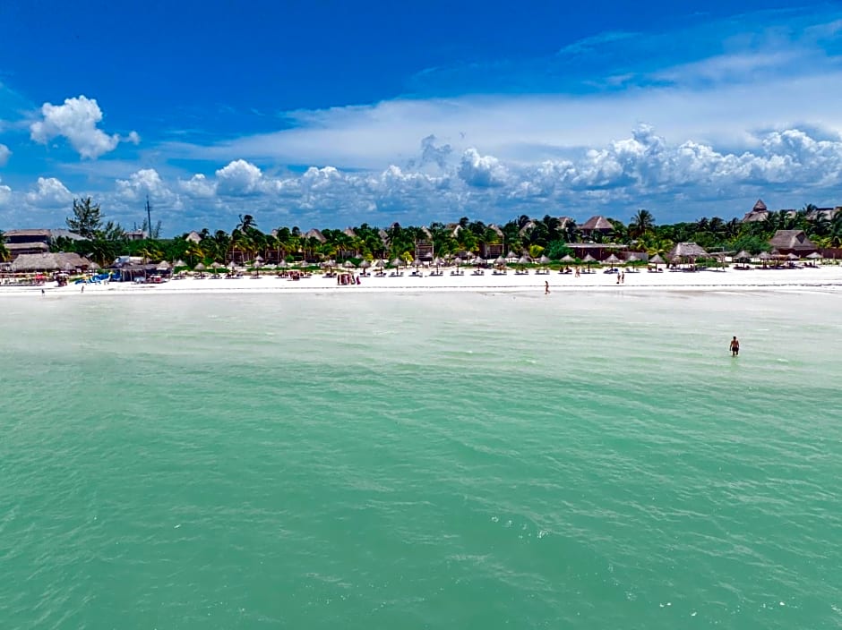 Blue Holbox