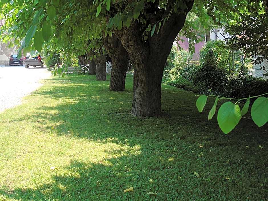 Albergo Grifone 1891